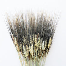Load image into Gallery viewer, Farmer&#39;s Wheat | Black Bearded
