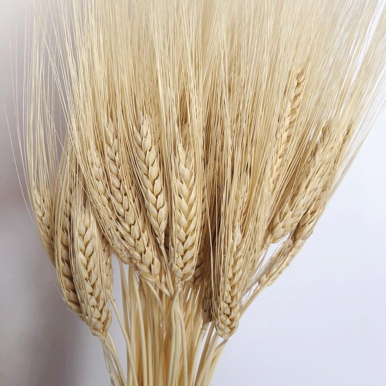 Farmer's Wheat | Natural