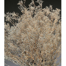 Load image into Gallery viewer, Natural Gypsy Grass
