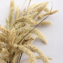 Load image into Gallery viewer, Natural Setaria Grass
