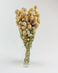 Honey Globe Amaranth | Dried Florals