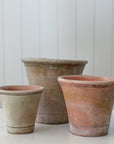 Aged Terra Cotta Nursery Planter | Short