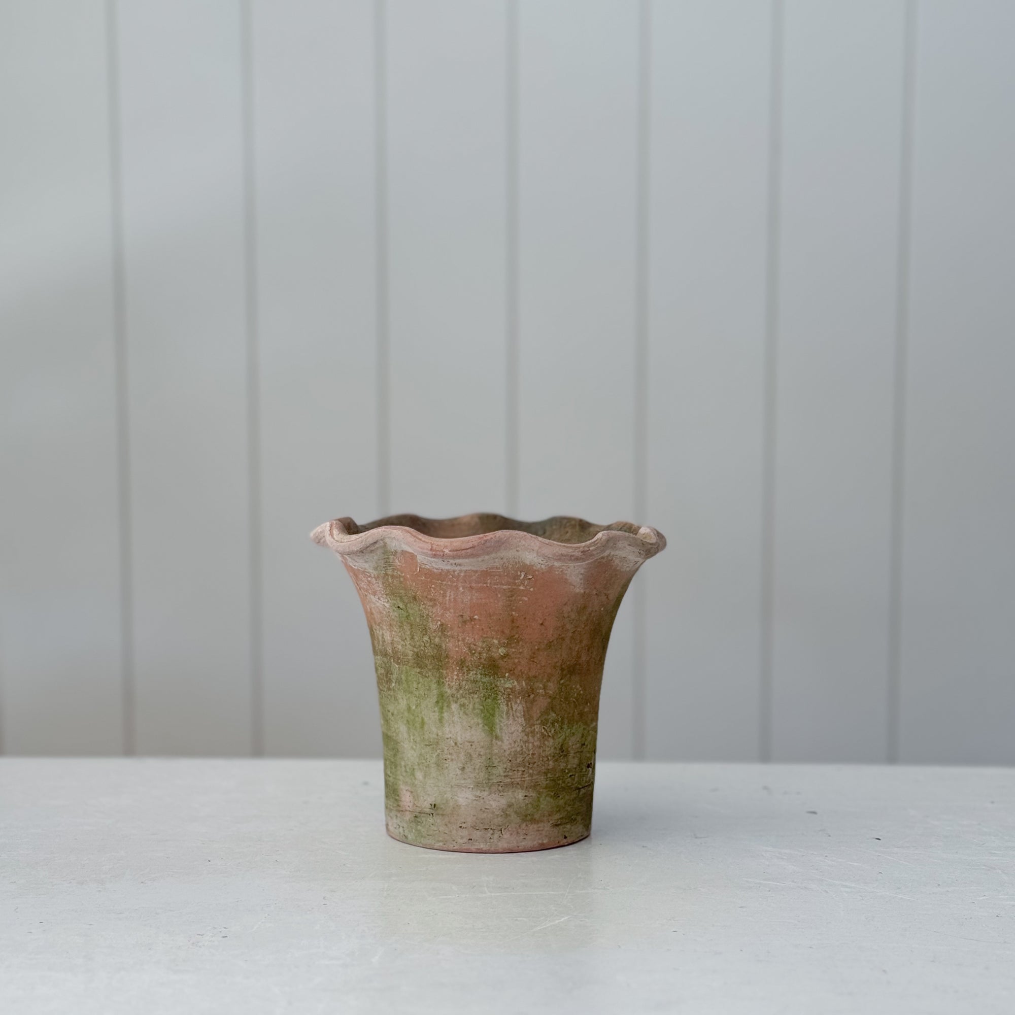 scalloped planter pot Scallop Planter