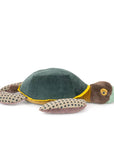 Plush Turtle