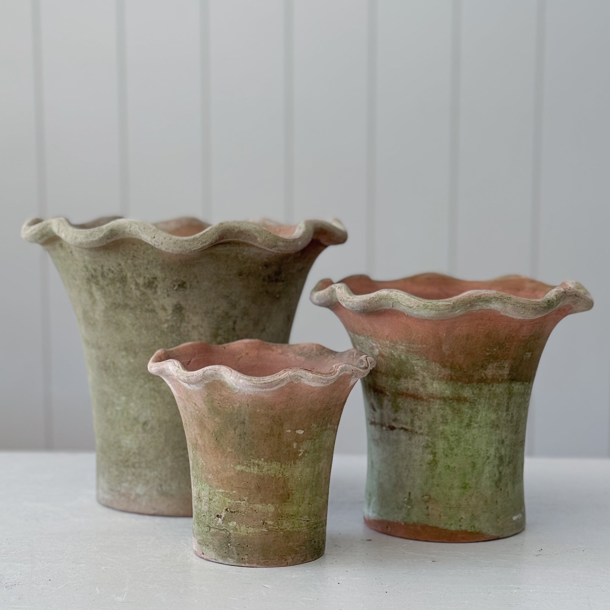 scalloped planter pot Scallop Planter