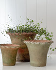 Aged Terra Cotta Piecrust Planter