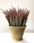 Corn Tassels | Bronze | Dried Florals