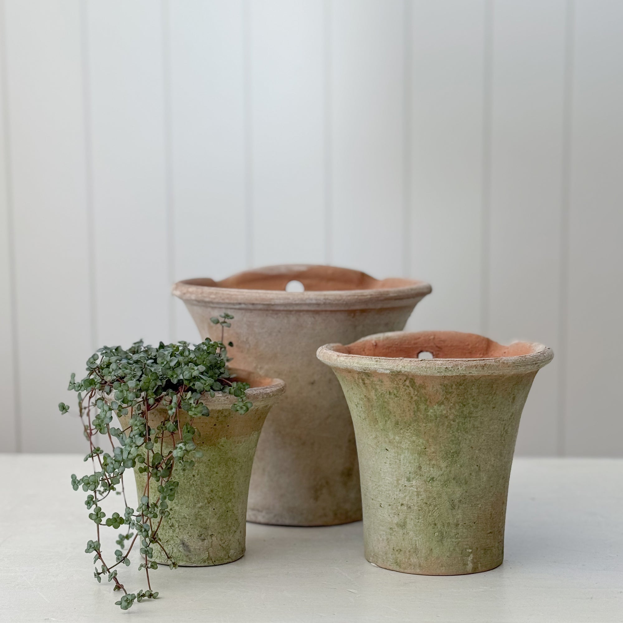 english plant pots English Wall Planter