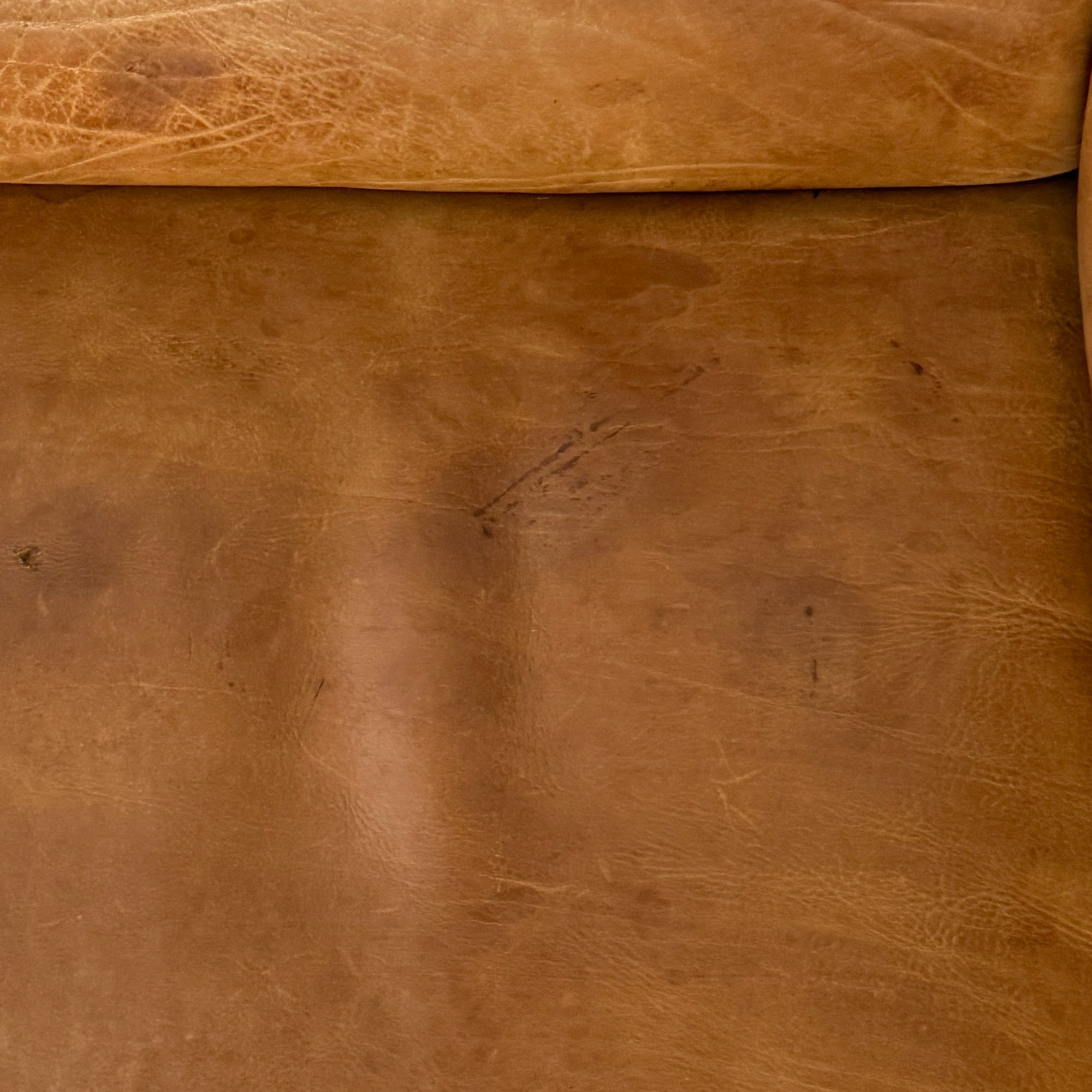 Buffalo Leather 2-Seater Sofa by de Sede DS-47 | Switzerland, circa 1970s