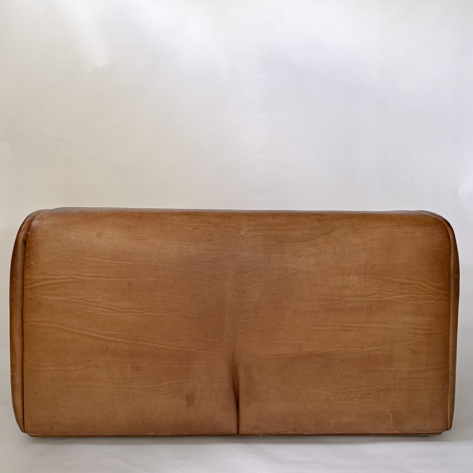 Buffalo Leather 2-Seater Sofa by de Sede DS-47 | Switzerland, circa 1970s