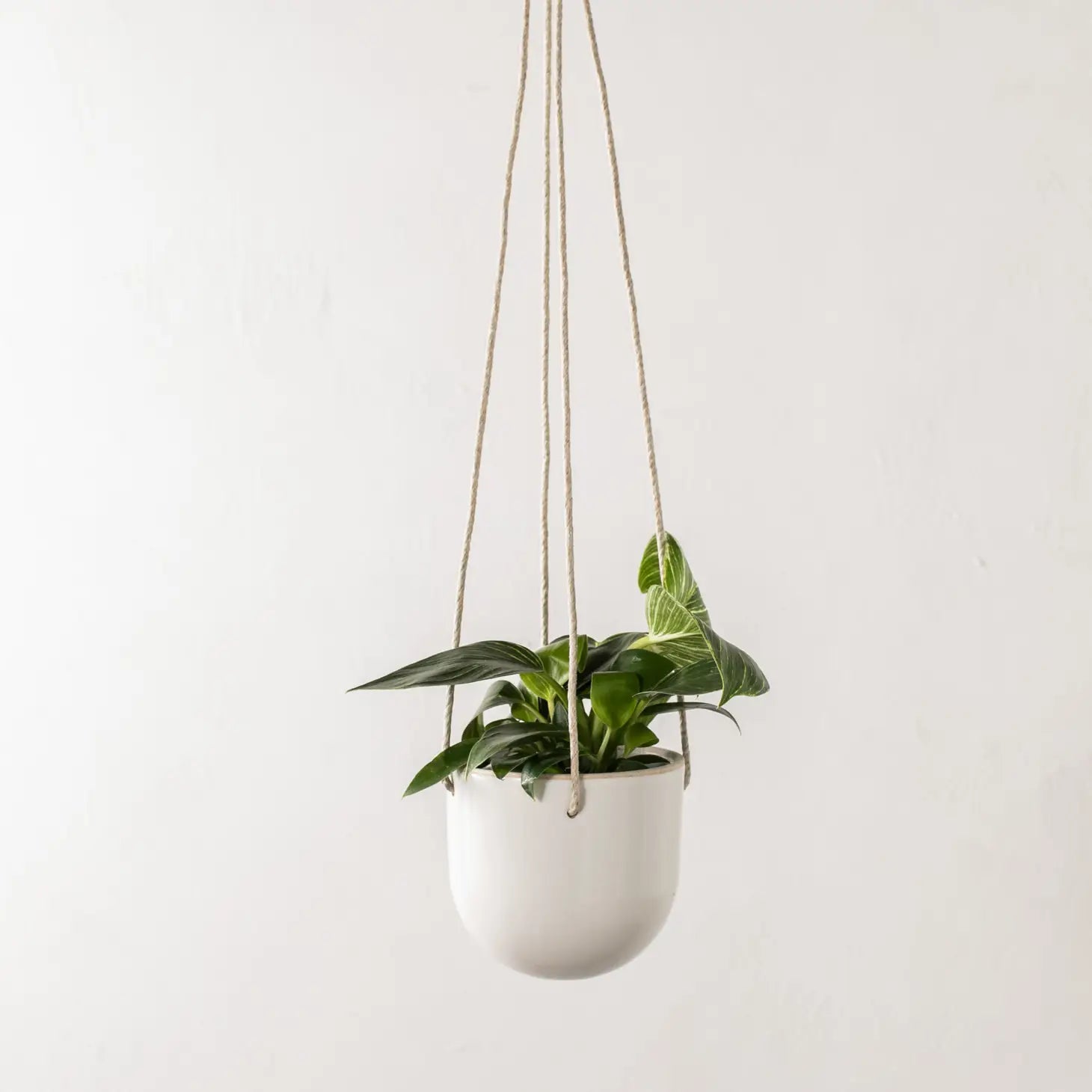 Arched Hanging Planters | Stoneware