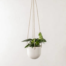 Load image into Gallery viewer, Arched Hanging Planters | Stoneware
