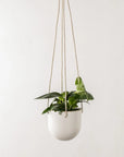 Arched Hanging Planters | Stoneware