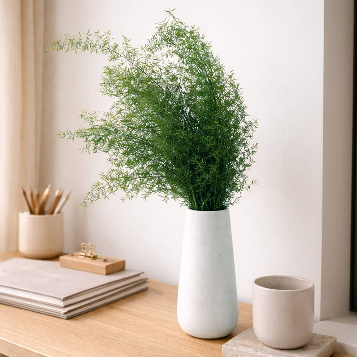 Sprengeri Fern | Preserved Florals