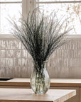 Asparagus Fern | Preserved Florals