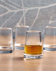Terrasse Ribbed Sipper Glass