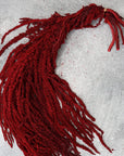Burgundy Amaranthus | Preserved Florals