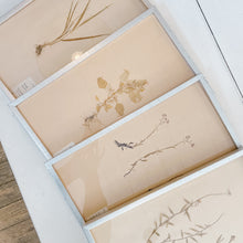 Load image into Gallery viewer, Pressed Flower Botanical Framed Art | C1940s from France
