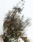 Smoke Bush | Olive Green | Dried Florals