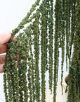Emerald Green Amaranthus | Preserved Florals