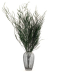 Asparagus Fern | Preserved Florals