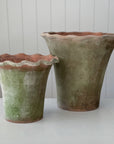 Aged Terra Cotta Scallop Planter