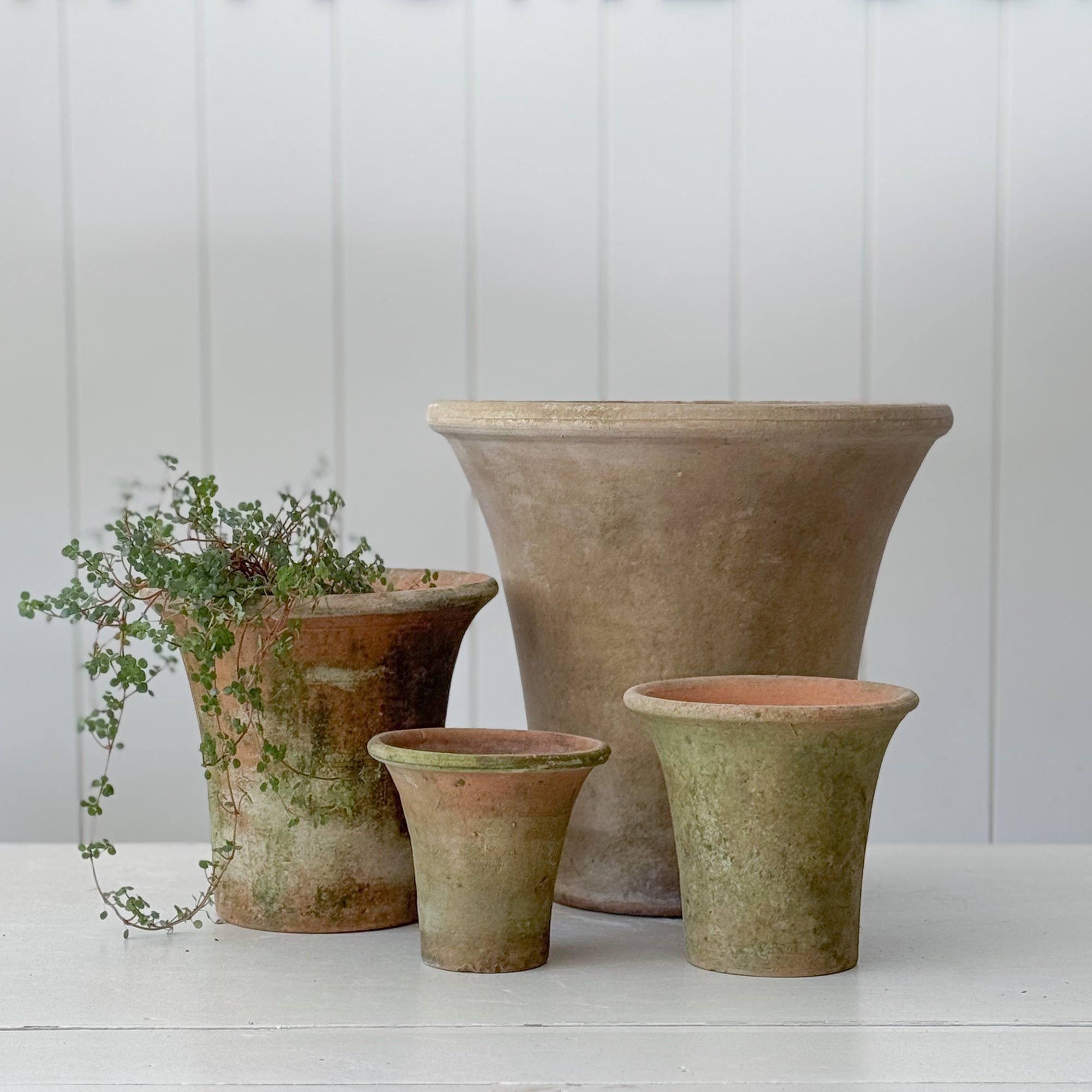 aged planter pots English Planter