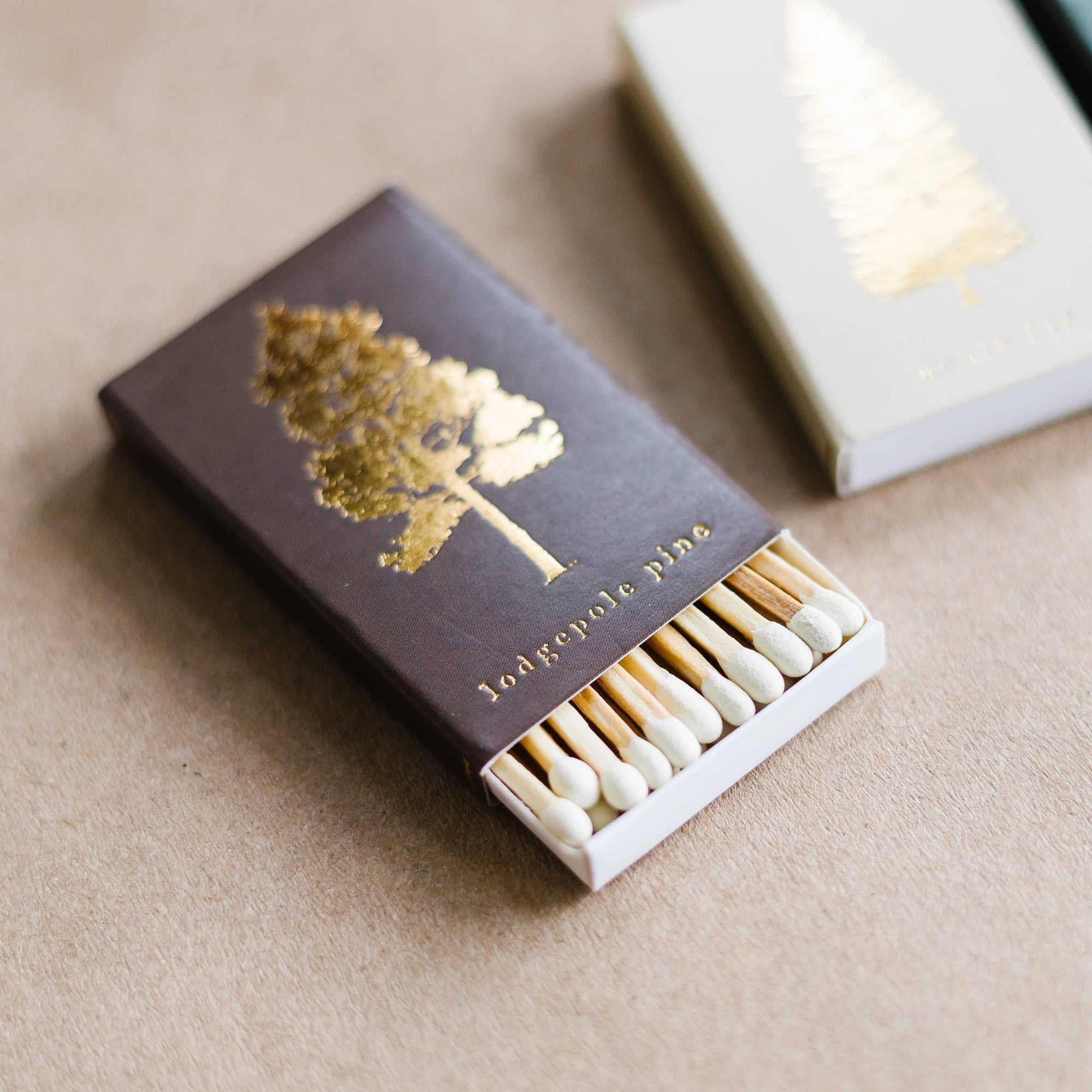 Lodgepole Pine Tree | Brown + Gold Matchbook
