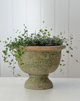 Aged Terra Cotta Copa Planter