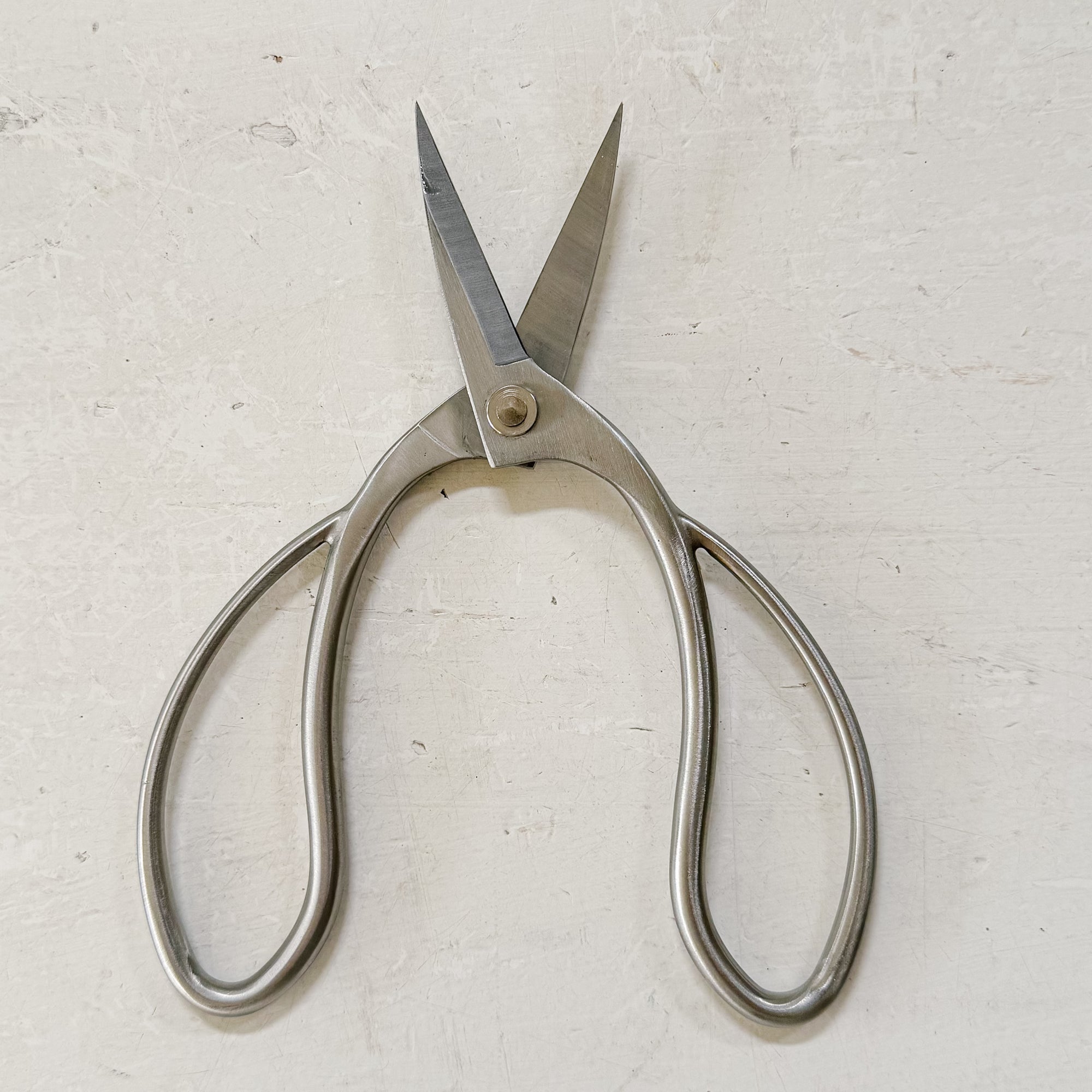 Stainless Steel Garden Snips