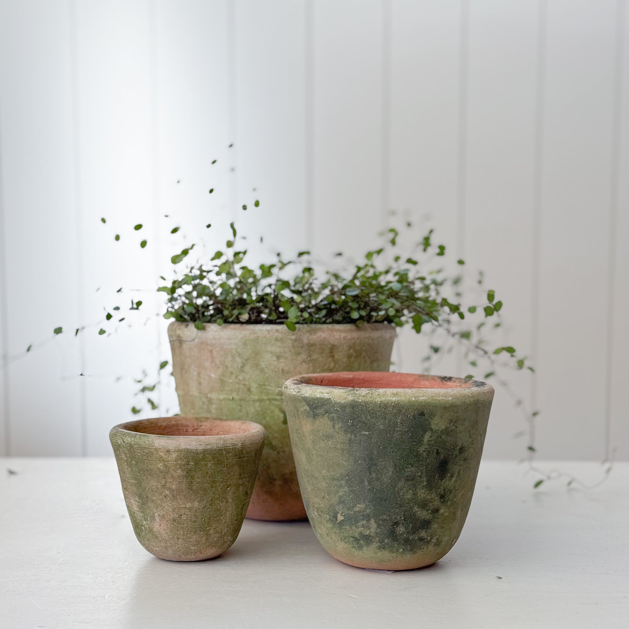 terra plant pots Crucible Planter