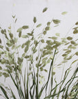Sea Oats | Natural Green | Dried Florals