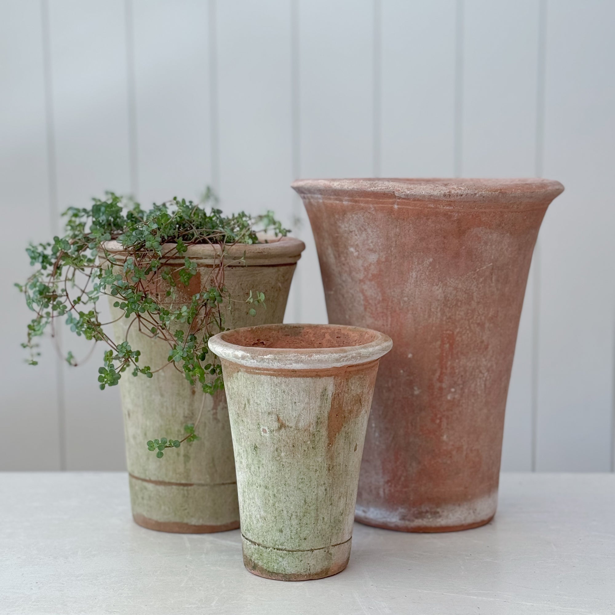 nursery planting pots for sale Nursery Planter | Tall