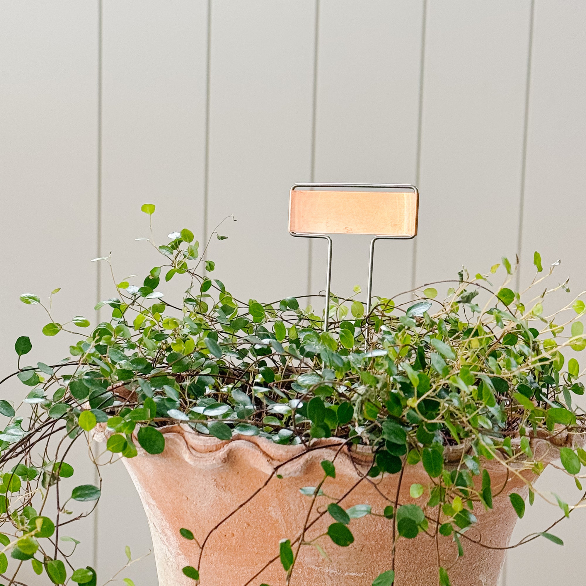 Copper Garden Markers