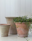 Aged Terra Cotta Nursery Planter | Short