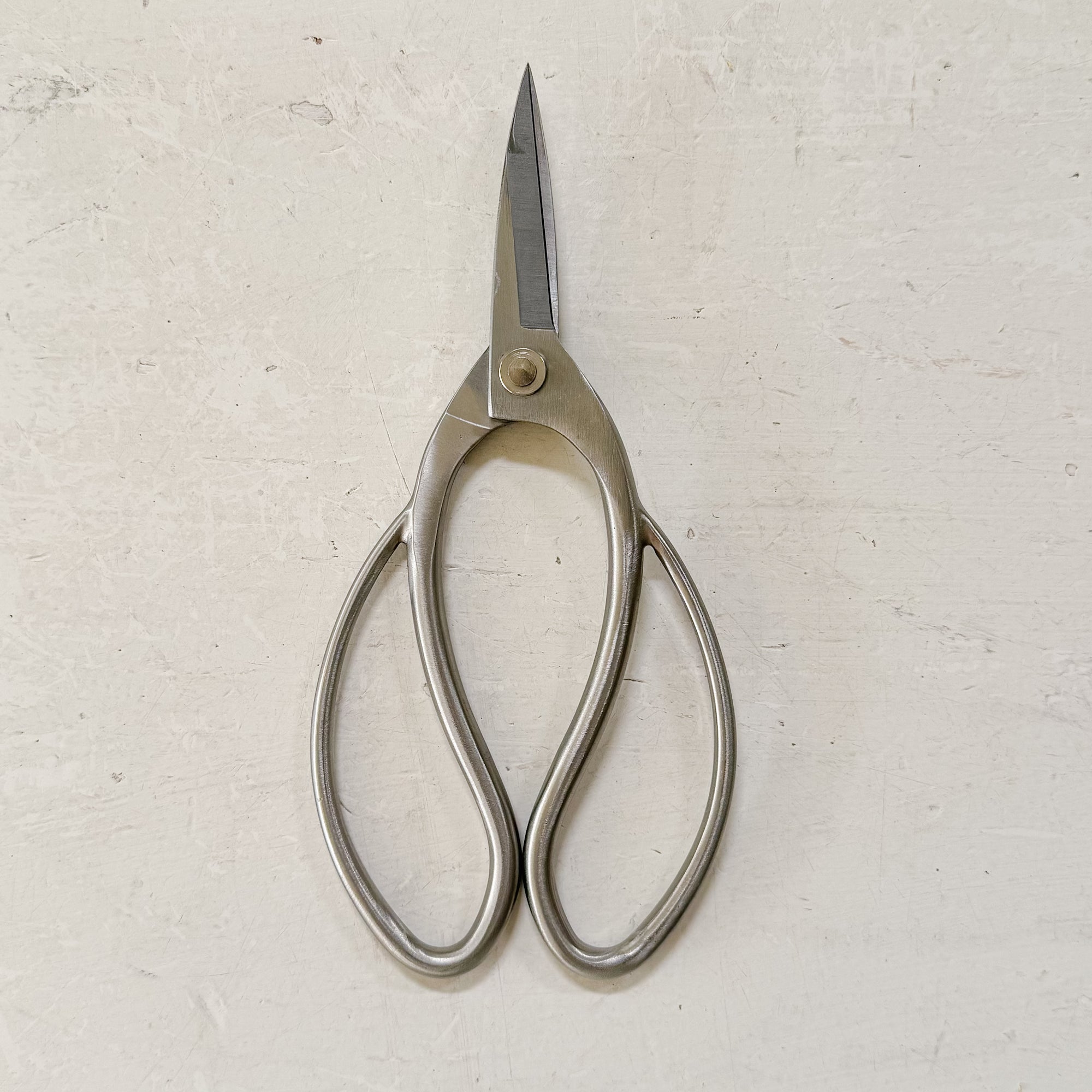 Stainless Steel Garden Snips
