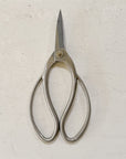 Stainless Steel Garden Snips