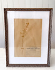 Natural Oat | Framed Pressed Flower Herbier, circa France