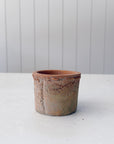 Bromley Terra Cotta Farm Pots | Indoor Planter
