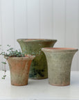 Aged Terra Cotta English Planter | Short