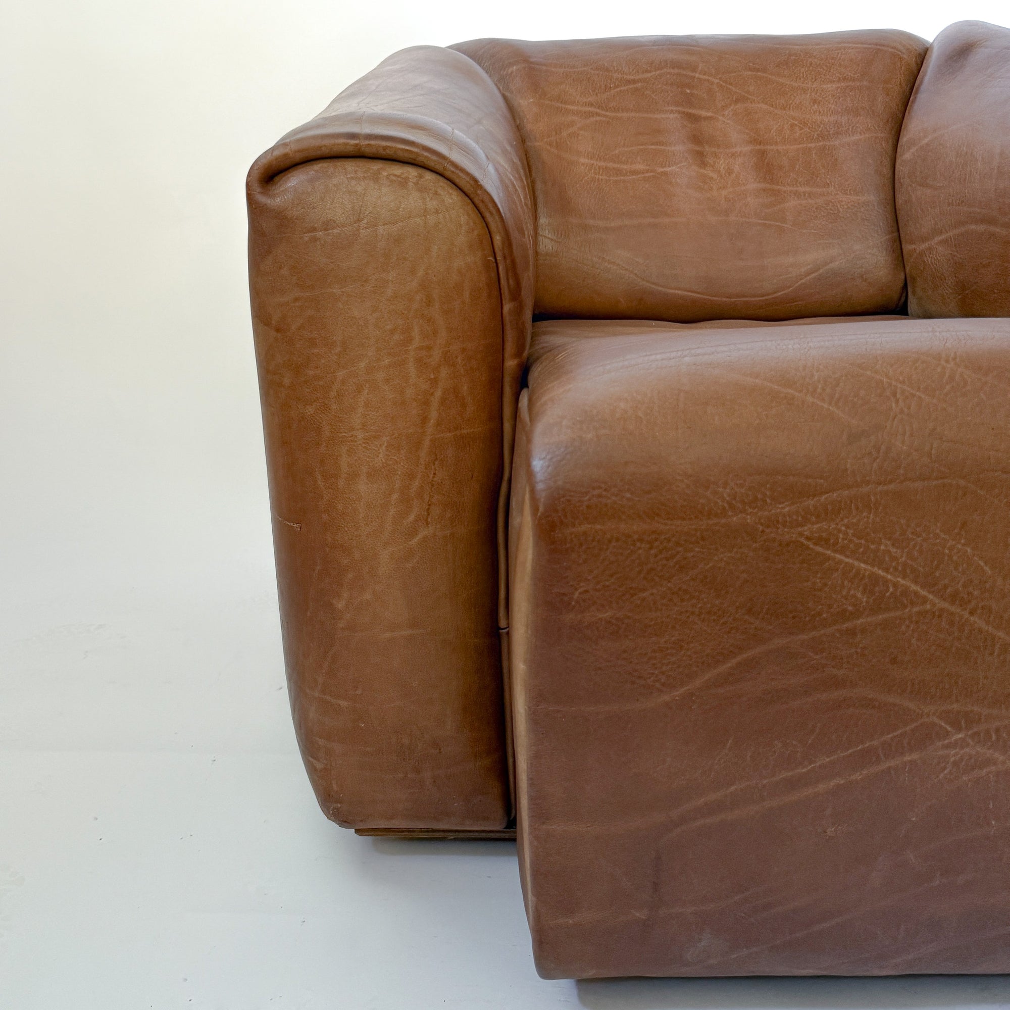 Buffalo Leather Chair by de Sede DS-47 | Switzerland, circa 1970s
