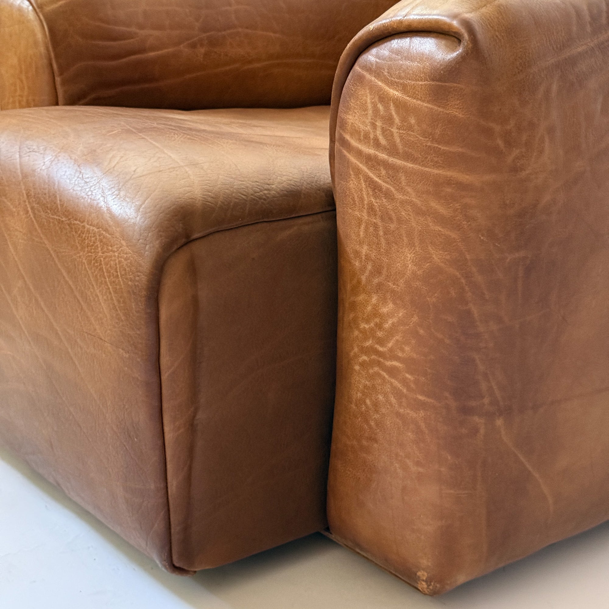 Buffalo Leather Chair by de Sede DS-47 | Switzerland, circa 1970s