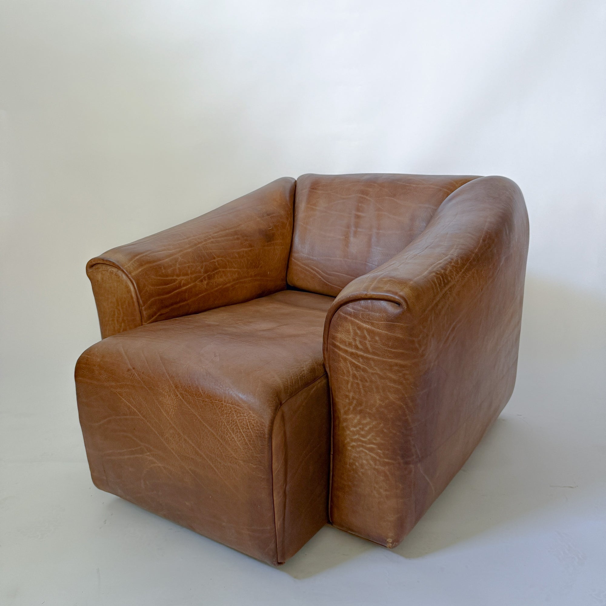 Buffalo Leather Chair by de Sede DS-47 | Switzerland, circa 1970s