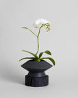 Artisanal Wooden Display Block | Natural Whitewash + Charcoal