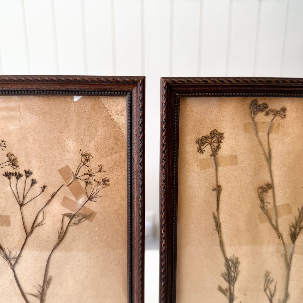 Pair of Framed Pressed Flower Papiers | circa France, 1950s