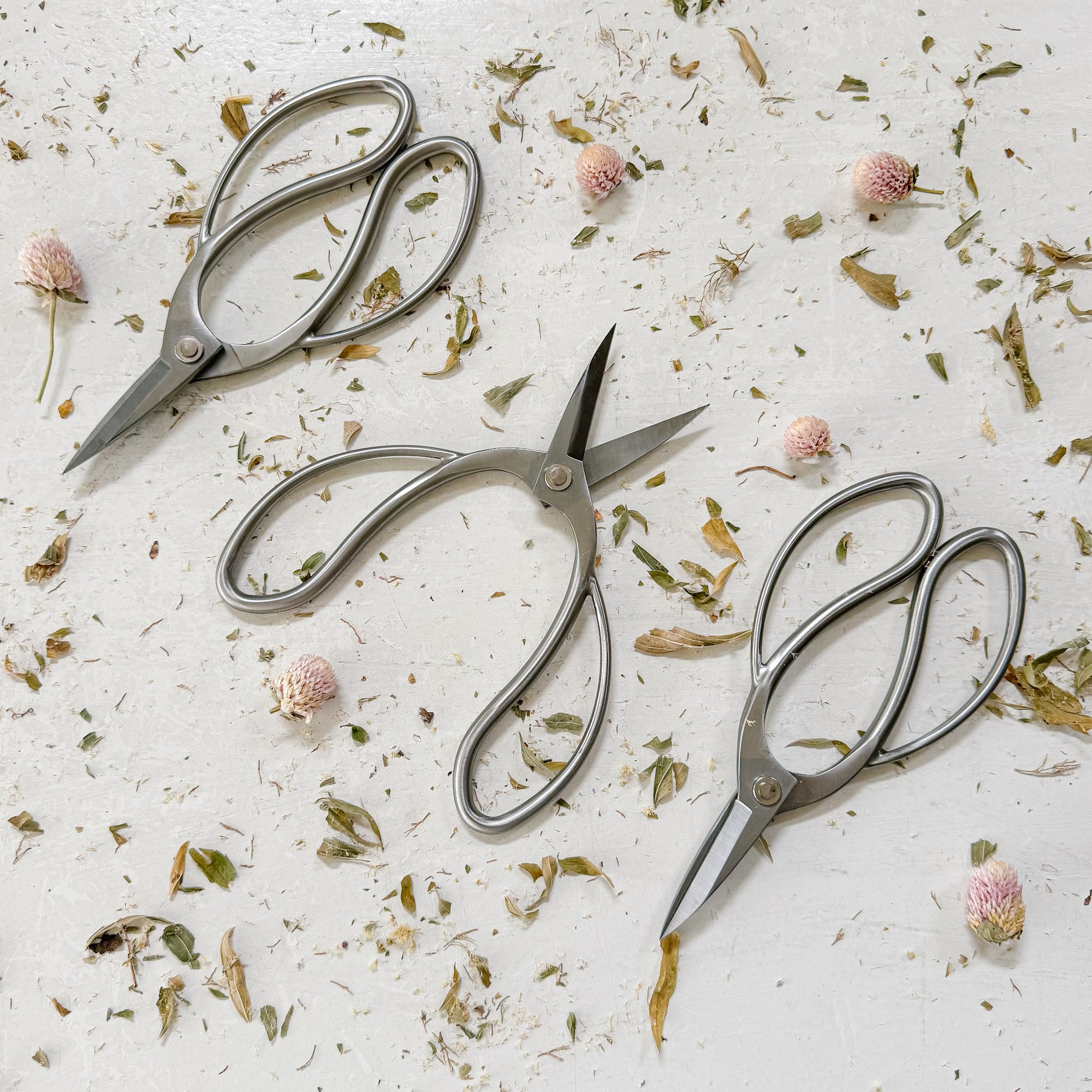 Stainless Steel Garden Snips