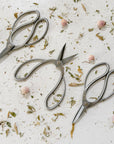 Stainless Steel Garden Snips
