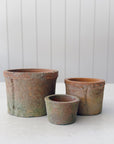 Bromley Terra Cotta Farm Pots | Indoor Planter