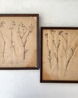 Pair of Framed Pressed Flower Papiers | circa France, 1950s