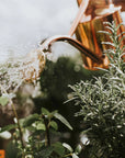 The Rowley Ripple | Copper 2 Pint Watering Can